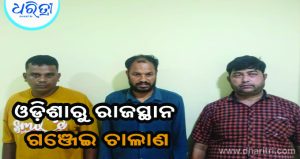 ଗଞ୍ଜେଇ ଚାଲାଣରେ ରାଜସ୍ଥାନ ସିଣ୍ଡିକେଟ୍‌ର ପର୍ଦ୍ଦାଫାଶ କଲା STF
