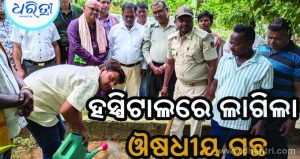 ଔଷଧୀୟ ଚାରାରୋପଣ କଲେ ବିଧାୟକ