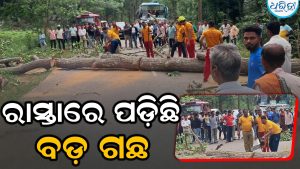 ରାସ୍ତାରେ  ପଡ଼ିଲା ଗଛ: ରାଇକିଆ–କ. ନୂଆଗାଁ ରାସ୍ତାରେ ଦୁଇ ଘଣ୍ଟା ବସ୍ ଚଳାଚଳ ବନ୍ଦ