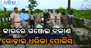 କନ୍ଧମାଳରୁ ଗଞ୍ଜେଇ ଚଲାଣ ବେଳେ ମାଡ଼ି ବସିଲା ପୋଲିସ, ଆଉ ତା’ପରେ…