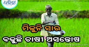 ଚାଷୀଙ୍କୁ ମିଳୁନି ସାର, ବଢୁଛି କଳାବଜାର