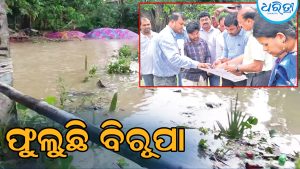 ଫୁଲୁଛି ବିରୂପା, ନଦୀକୂଳିଆ ଗାଁ ଲୋକେ ଆତଙ୍କିତ