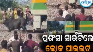 ଷଣ୍ଢକୁ ବଞ୍ଚାଇବା ପାଇଁ ହଠାତ୍‌ ଟ୍ରେନ୍‌ ଅଟକାଇଲେ ଲୋକ ପାଇଲଟ: ଆଉ ତା’ପରେ ଘଟିଲା..