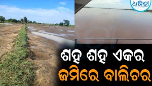 Odisha Floods: ବନ୍ୟାଜଳ ହ୍ରାସ ପରେ ଶହ ଶହ ଏକର ଜମିରେ ବାଲିଚର, କ୍ଷତିପୂରଣ ଦାବି କଲେ ଚାଷୀ
