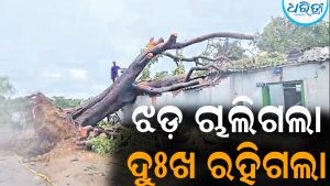 ପ୍ରକୃତି ରଚିଲା ପ୍ରଳୟ: ଝଡ଼ ଚାଲିଗଲା, ଦୁଃଖ ରହିଗଲା