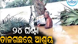 ବନ୍ୟାରେ ୨୪ ଘଣ୍ଟା ଧରି ତାଳ ଗଛରେ ଆଶ୍ରୟ ନେଇଥିଲେ ଚାଷୀ, ତା’ପରେ ଘଟିଲା…