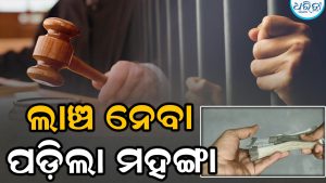 ଲାଞ୍ଚ ନେବା ପଡ଼ିଲା ମହଙ୍ଗା: ଉପକୋଷାଗାର ପୂର୍ବତନ କର୍ମଚାରୀଙ୍କୁ ଜେଲ୍‌ଦଣ୍ଡ