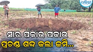 ସାର ପକାଇବାବେଳେ ଜମିରେ ହଠାତ୍‌ ହୋଇଗଲା ୧୦ ଫୁଟର ଦୁଇଟି ଗାତ, ଭୟରେ ଅଞ୍ଚଳବାସୀ