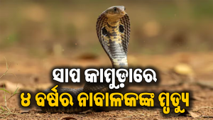 ମା’ ବାପାଙ୍କ ସହ ଘରେ ଶୋଇଥିବାବେଳେ କାମୁଡିଲା ସାପ, ଚାଲିଗଲା ସମରତଙ୍କ ଜୀବନ