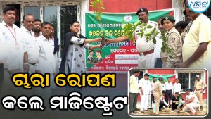 ବନ ମହୋତ୍ସବ ସପ୍ତାହ, ସାନଖେମୁଣ୍ଡି କୋର୍ଟ ପରିସରରେ ଚାରା ରୋପଣ କଲେ ମାଜିଷ୍ଟ୍ରେଟ 