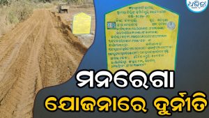 ବୋରପଦର ଗ୍ରାମ ପଞ୍ଚାୟତରେ ମନରେଗା ଦୁର୍ନୀତି ଅଭିଯୋଗ, ଜିଲାପାଳଙ୍କୁ ଫେରାଦ ହେଲେ ଗ୍ରାମବାସୀ
