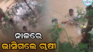 ଘରକୁ ଫେରୁଥିବା ବେଳେ କେନାଲରେ ଭାସିଗଲେ ଚାଷୀ, ତାପରେ ଘଟିଲା….