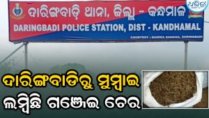 ୨ ଗଞ୍ଜେଇ ଚୋରା ଚାଲାଣକାରୀଙ୍କୁ ଦାରିଙ୍ଗବାଡିରୁ ଉଠାଇଲା ମୁମ୍ବାଇ ପୋଲିସ
