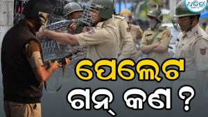 ପେଲେଟ୍ ଗନ୍ କ’ଣ, ଏହା କେତେ ଘାତକ? କେଉଁ ପରିସ୍ଥିତିରେ ବ୍ୟବହାର ହୁଏ ଜାଣନ୍ତୁ