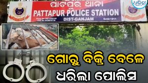 ଗୋରୁ ବୋଝେଇ ଗାଡ଼ି ସହ ୨ଅଭିଯୁକ୍ତଙ୍କୁ ବାନ୍ଧିଲା ପୋଲିସ, ହାଟରେ ବିକ୍ରି ପାଇଁ ନେଉଥିଲେ
