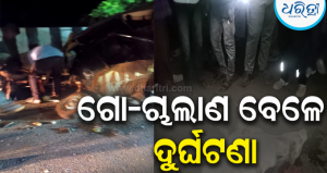 ଦେଓ ନଦୀ ପୋଲ ଉପରେ ଗୋ-ଚାଲାଣ ଗାଡ଼ି ସହ ଅଟୋର ମୁହାଁମୁହିଁ ଧକ୍କା: ଗୋଟିଏ ବଳଦ ମୃତ, ଗୋ-ମାଫିଆ…