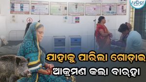 ବାର୍‌ହା ଆତଙ୍କ: ଘରେ ପଶି ଗୋଡ଼ାଇ ଗୋଡ଼ାଇ କଲା ଆକ୍ରମଣ, ୫ ଲହୁଲୁହାଣ