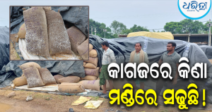 ବରଗଡ଼ ମଣ୍ଡିରୁ ଆସିଲା ଚିନ୍ତାଜନକ ଚିତ୍ର: ବିକ୍ରି ଧାନରୁ ବାହାରିଲାଣି ଗଜା, ଚାଷୀଙ୍କୁ ମିଳିନି ପ୍ରାପ୍ୟ; କଟନୀ-ଛଟନୀ…