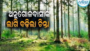 କୋଇଲା ଖଣି ପାଇଁ  ୭୫୦ ହେକ୍ଟର ଜଙ୍ଗଲ ଜମି ହେବ ନଷ୍ଟ: ଅନୁଗୋଳବାସୀଙ୍କ ଲାଗି ବଢ଼ିଲା ଚିନ୍ତା