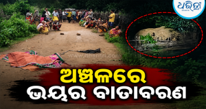 ଜମିରୁ ଫେରିବା ବେଳେ ଚାଷୀଙ୍କୁ ଦନ୍ତା ଆକ୍ରମଣ: ଉଜୁଡ଼ିଲା ସଂସାର, ଘର ଚଳାଇବା କଷ୍ଟକର