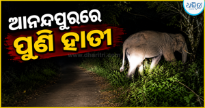 ଆନନ୍ଦପୁରରେ ପୁଣି ହାତୀ: ଫକୀରପୁର-ସିଙ୍ଗଡୋଭ ସୀମାରେ ଗତିବିଧି, ସତର୍କ ରହିବାକୁ …