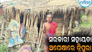 ଜରାଜୀର୍ଣ୍ଣ ଘରେ ଜୀବନ କାଟୁଛନ୍ତି ତ୍ରିପୁରା: ସରକାରୀ ସହାୟତା ଅପେକ୍ଷାରେ …