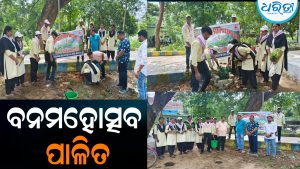 କେସିଙ୍ଗା ମହାବିଦ୍ୟାଳୟରେ ବନମହୋତ୍ସବ ପାଳିତ: ବିଭିନ୍ନ ପ୍ରଜାତିର ବୃକ୍ଷ ରୋପଣ