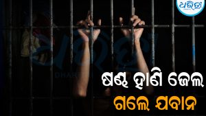 ଷଣ୍ଢକୁ ହାଣି ଜେଲ ଗଲେ ଯବାନ: ପୂରା ଘଟଣା ଜାଣିଲେ ହେବେ ଆଶ୍ଚର୍ଯ୍ୟ