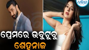 ପ୍ରେମରେ ଉବୁଟୁବୁ ଶେହନାଜ: କହୁ କହୁ କହିଦେଲେ…
