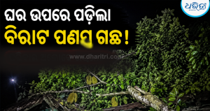 ବର୍ଷା ବିପତ୍ତି: ରାତ୍ରି ଭୋଜନ କରୁଥିବା ବେଳେ ଘର ଉପରେ ଭାଙ୍ଗିପଡ଼ିଲା ବିରାଟ ପଣସ ଗଛ, ଭୟଙ୍କର ଦୁର୍ଘଟଣାରେ…