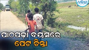 ପାଠପଢ଼ା ବୟସରେ ହାତରେ ବନିଶୀ କଣ୍ଟା, ମାଛ ମାରି ପେଟ ପୋଷୁଛନ୍ତି ଜନଜାତି ପିଲା