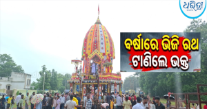 ବର୍ଷାରେ ଭିଜି ରଥ ଟାଣିଲେ ଭକ୍ତ: ତିନି ଦିନ ପରେ ମାଉସୀମା ମନ୍ଦିରରେ ପହଞ୍ଚିଲେ ରାଜନଗର ଦଧିବାମନ ଜିଉ