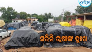 ସରିଛି ରବିଧାନ ସଂଗ୍ରହ, ସରିନି ଚାଷୀଙ୍କ ଦୁଃଖ ଏବେ ବି ମଣ୍ଡିରେ ପଡ଼ିଛି ଧାନ ଚାଷୀଙ୍କୁ ମିଳିନି ବିକ୍ରିଧାନର ପ୍ରାପ୍ୟ