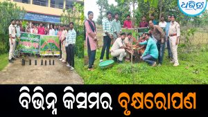 ୭୭ ବନ ମହୋତ୍ସବ ପାଳିତ:ବିଭିନ୍ନ କିସମର ବୃକ୍ଷରୋପଣ
