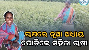ମାଟିର ମହକରେ ଫେରିଲା ଦେଶୀ ମଞ୍ଜି, ପ୍ରେରଣାଦାୟୀ ସାଜିଲେ ମହିଳା ଚାଷୀ, ହସିହସି କୁହନ୍ତି ଆମ ପରିବାରରେ…