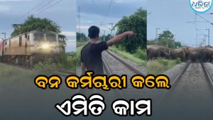 ହଠାତ୍‌ ଟ୍ରେନ୍‌ ଟ୍ରାକ୍‌କୁ ଚାଲିଆସିଲେ ହାତୀପଲ, ବନ କର୍ମଚାରୀ କଲେ ଏମିତି କାମ, ସମସ୍ତେ ଆଶ୍ଚର୍ଯ୍ୟ…