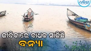 ମହାନଦୀରେ ବନ୍ୟାଜଳ: ପ୍ରଭାବିତ ହେଉଛନ୍ତି ମତ୍ସ୍ୟଜୀବୀ