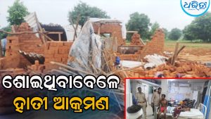 ଘରେ ଶୋଇଥିବାବେଳେ ପଶିଲେ ହାତୀପଲ, ଭାଙ୍ଗିଲେ ଘର, ଗୋଟିଏ ପରିବାରର ୪ ଜଣଙ୍କୁ…