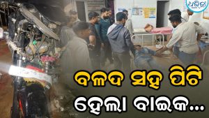 ବାଇକ-ବଳଦ ମୁହାଁମୁହିଁ ଧକ୍କା: ଯୁବକ ଗୁରୁତର, ଘଟଣାସ୍ଥଳରେ ବଳଦର ମୃତ୍ୟ