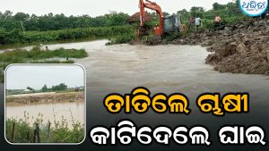 ତାତିଲେ ଚାଷୀ, ଜେସିବି ଲଗାଇ କାଟିଦେଲେ ଘାଇ, ପାଣିରେ ବୁଡ଼ିଲା ଶହଶହ ଏକର ଚାଷଜମି