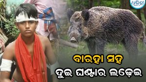 ନାବାଳକଙ୍କ ବାର୍‌ହା ସହ ଦୁଇ ଘଣ୍ଟା ଧରି  ଲଢ଼େଇ: ଶେଷରେ ଜୀବନ ବଞ୍ଚାଇବା ପାଇଁ…