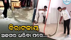 କାମ କରୁଥିବାବେଳେ ଶ୍ରମିକଙ୍କୁ ଶୁଭିଲା ସାପର ଗର୍ଜନ, ପାଖକୁ ଯାଇ ଦେଖିବା ପରେ…