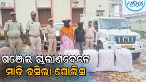ଚାଲିଥିଲା ଗଞ୍ଜେଇ କାରବାର, ମହିଳାଙ୍କ ସମେତ ୨ ଜଣଙ୍କୁ ଗିରଫ କରି…