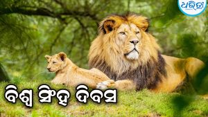ବିଶ୍ୱ ସିଂହ ଦିବସ: ସୁରକ୍ଷା ପାଇଁ ସଚେତନତା ଜରୁରୀ