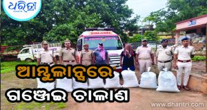 ଆମ୍ବୁଲାନ୍ସରେ ଗଞ୍ଜେଇ ଚାଲାଣ, କାଲିମେଳାରୁ ମହାରାଷ୍ଟ୍ରର ଯାଉଥିବା ବେଳେ ମାଡ଼ି ବସିଲା ପୋଲିସ