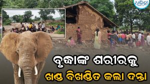 ବୃଦ୍ଧାଙ୍କ ଶରୀରକୁ ଖଣ୍ଡ ବିଖଣ୍ଡିତ କରି ମାରିଲା ରକ୍ତମୁଖା ଦନ୍ତା, ପୁଅ-ବୋହୂଙ୍କ ସହ…