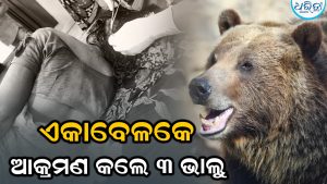 ବିଲକୁ ଯାଇଥିବାବେଳେ ଅତର୍କିତ ଆକ୍ରମଣ କଲା ଭାଲୁ, ୨ ଜଣ…