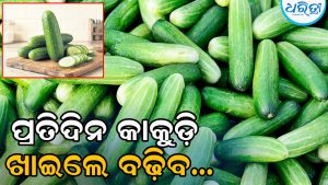 ପ୍ରତିଦିନ ଖାଦ୍ୟ ତାଲିକାରେ ସାମିଲ କରନ୍ତୁ କାକୁଡ଼ି, ବଢ଼ିବ…