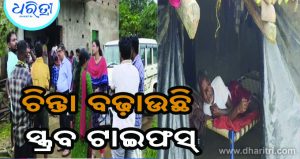 ବ୍ୟାପୁଛି ସ୍କ୍ରବ ଟାଇଫସ୍‌: ଦିନକରେ ୨୨ ପଜିଟିଭ ଚିହ୍ନଟ