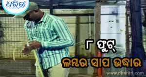 ଶାହରୁଖଙ୍କ ଘରେ ସାପ